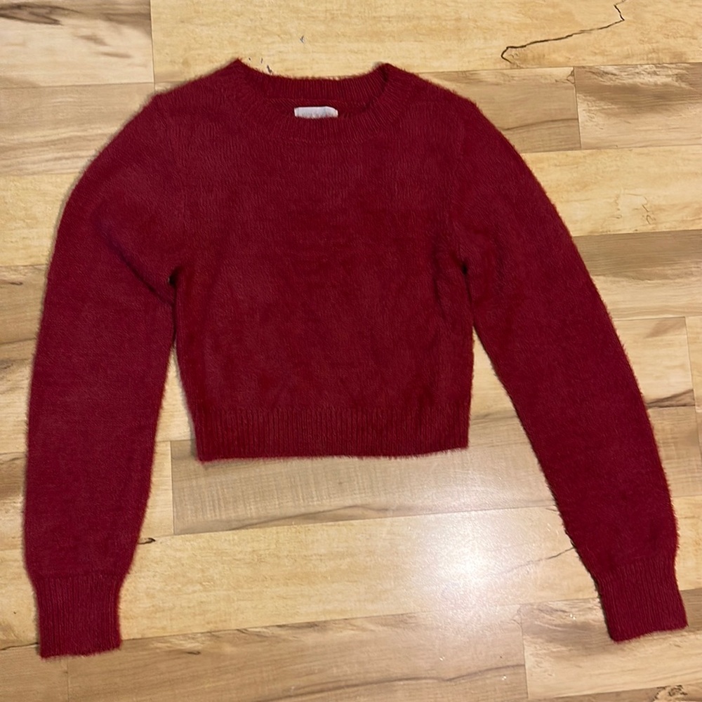 Urban Outfitters Fuzzy Red Cropped Sweater